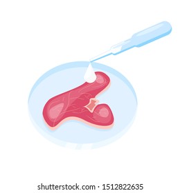 Lab grown meat vector concept. Chemical dish with a beef steak.Illustration of Future food technologies. Synthetic meat infographic
