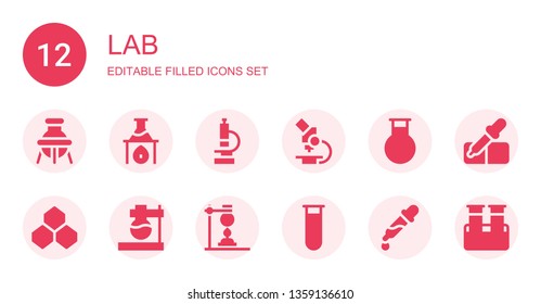 lab icon set. Collection of 12 filled lab icons included Flask, Microscope, Benzene, Test tube, Pipette, Blood sample