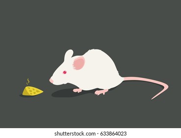 Lab white rat & cheese vector illustration