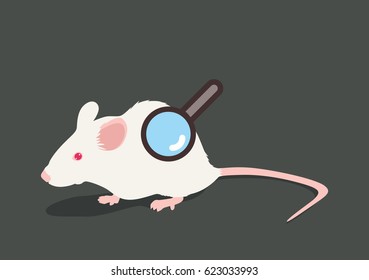 Lab White Rat Vector Illustration: Research