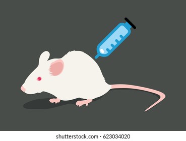 Lab White Rat Vector Illustration: Syringe