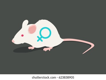 Lab White Rat Vector Illustration: Female