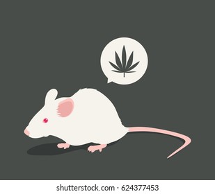 Lab white rat vector illustration: marijuana
