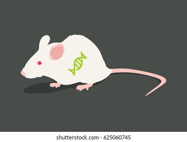 Lab White Rat Vector Illustration: DNA