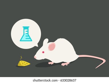 Lab White Rat Vector Illustration: Tests