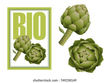 A label with a 3D illustration for organic artichokes.
Green color with a front artichoke and a top view to promote organic farming of the artichoke.