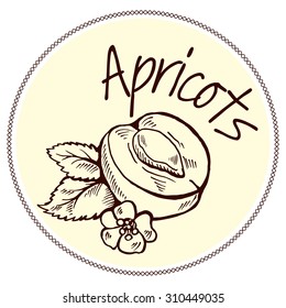 Label of apricots with flowers and leaves. One fruit is divided in half - visible bone.