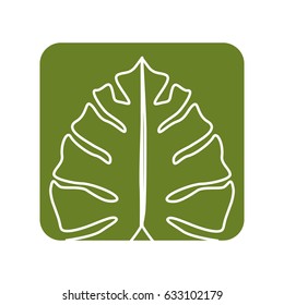 label beautiful leaf of the exotic plants in the forest