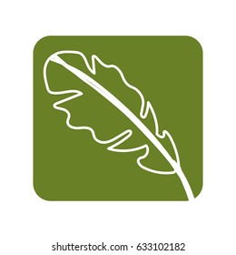 label beautiful leaf of the exotic plants in the forest