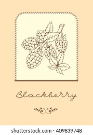 Label of blackberry with leaves on beige background. Sketch illustration. There are place for the text in the background