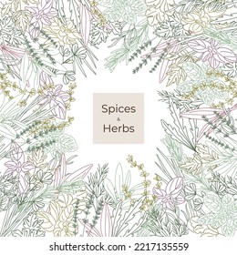 Label cover and seamless pattern of spicy herbs line Oregano, Fenugreek, Rosemary, Mint, Arugula, Thyme, Parsley, Lavender, Tarragon, Basil, Dill, Scallion, Cheremsha, Cilantro, Sage, Lovage.