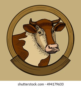 Label for cow meat. Hand drawn sketch style vector illustration
