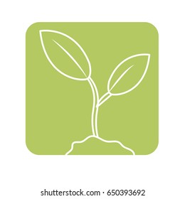label cute ecology plant with earth