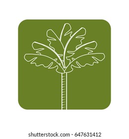 label cute and exotic palm with leaves