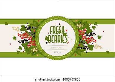 Label design for jam or berries. Black, red and white currant berries and leaves. Packaging, box template. Farm products, eco product
