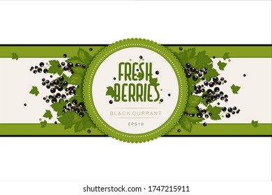Label design for jam or berries. Blackcurrant berries and leaves. Packaging, box template. Farm products, eco product