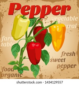 label emblem vegetables bell pepper retro style