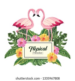 label with flamingos animals and tropical leaves