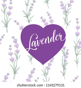 Label in the form of a heart with sign Lavender against of it. Pattern of lavender flowers on a white background. Watercolor pattern with Lavender for fabric swatch.