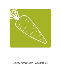 label fresh carrot organ vegetable food