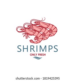 label of fresh shrimps isolated on white background