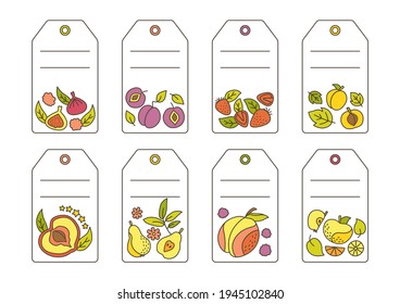 Label with fruit doodle set template. Tropical price tag hawaiian fruit, pineapple pear watermelon and tangerine, fig, lemon. Isolated empty frame vector illustration juice or farmer market product