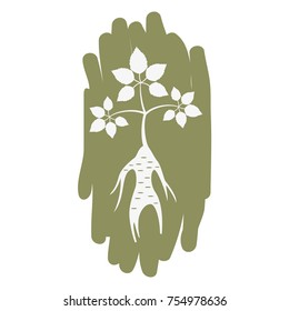 Label with ginseng on the white background. Vector illustration.