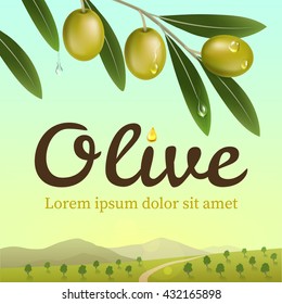 Label of green olives with realistic olive branch on olive farm background. Vector illustration