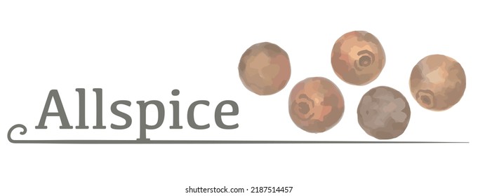 Label And Icon Of Allspice. Watercolor. Vector Illustration.	