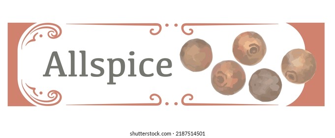 Label And Icon Of Allspice. Watercolor. Vector Illustration.	