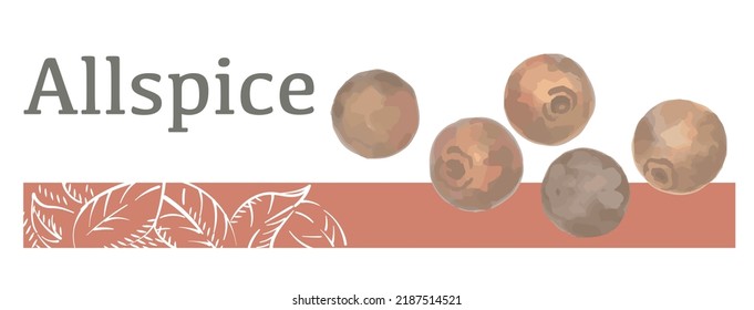 Label And Icon Of Allspice. Watercolor. Vector Illustration.	