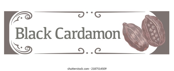 Label And Icon Of Black Cardamon. Watercolor. Vector Illustration.	