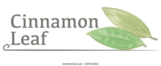 Label and icon of cinnamon leaf. Watercolor. Vector illustration.	