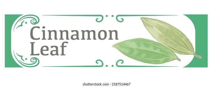 Label and icon of cinnamon leaf. Watercolor. Vector illustration.	