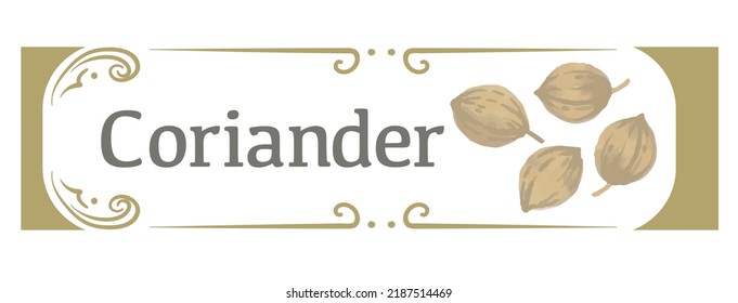 Label And Icon Of Coriander. Watercolor. Vector Illustration.	