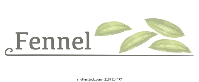 Label And Icon Of Fennel. Watercolor. Vector Illustration.	