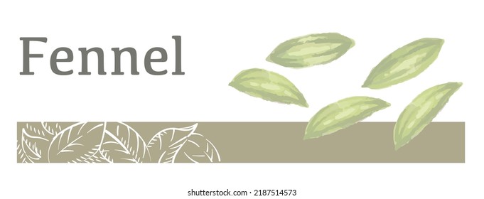 Label And Icon Of Fennel. Watercolor. Vector Illustration.	