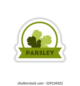 Label icon on design sticker collection kitchenware seasoning parsley with ribbon