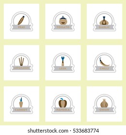 Label icon on design sticker collection spice with ribbon