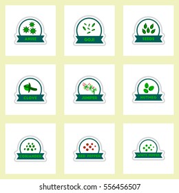 Label icon on design sticker collection kitchenware seasoning spice with ribbons