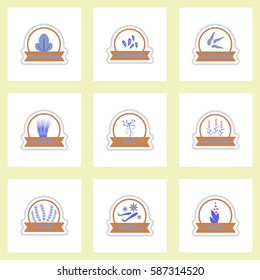 Label icon on design sticker collection kitchenware seasoning spice with ribbons