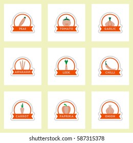 Label icon on design sticker collection spice with ribbon