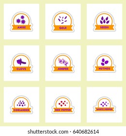 Label icon on design sticker collection kitchenware seasoning spice with ribbons