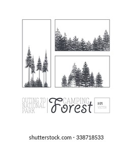 label with a image of a coniferous forest