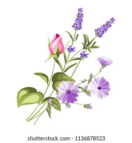 Label with lavender. Bunch of lavender flowers on a white background. Botanical illustration in vintage style. Vector illustration.