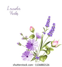 Label with lavender. Bunch of lavender flowers on a white background. Botanical illustration in vintage style with sign Lavender herbs.