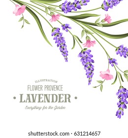 Label with lavender. Bunch of lavender flowers on a white background. Botanical illustration. Vintage style. Making gifts of paper and textiles. Vector illustration