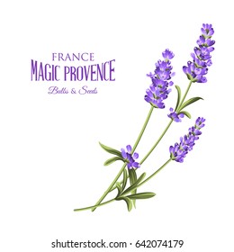 Label with lavender. Bunch of lavender flowers on a white background. Botanical illustration. Vintage style. Making gifts of paper and textiles. Vector illustration