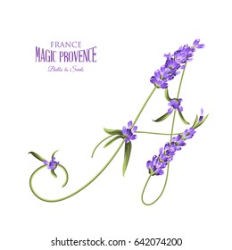 Label with lavender. Bunch of lavender flowers on a white background. Botanical illustration. Vintage style. Making gifts of paper and textiles. Vector illustration