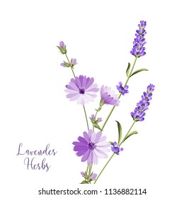 Label with lavender and endive. Bunch of summer flowers on a white background. Botanical illustration in vintage style. Sign lavender herbs in left bottom corner. Vector illustration.